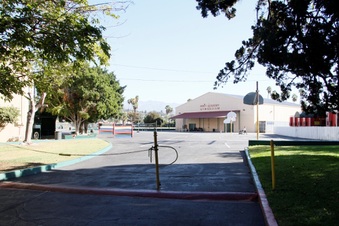 Enlarge photo 82
