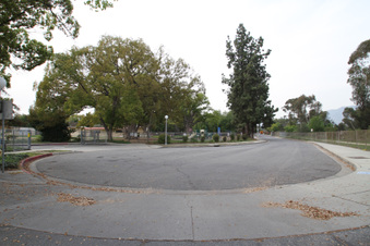 Enlarge photo 111