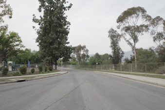 Enlarge photo 112