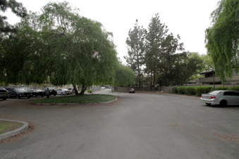 Enlarge photo 129