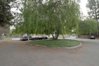 Enlarge photo 130