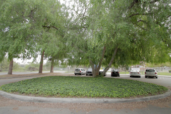 Enlarge photo 131