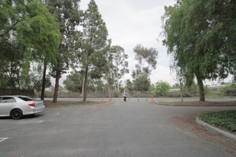 Enlarge photo 132