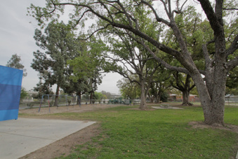 Enlarge photo 148