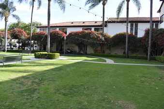 Enlarge photo 18
