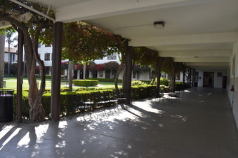 Enlarge photo 22