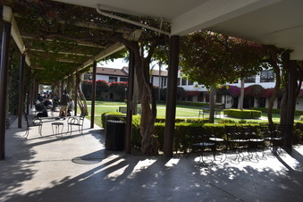 Enlarge photo 24