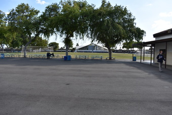 Enlarge photo 31
