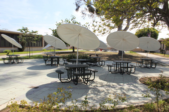 Westchester Enriched Sciences School