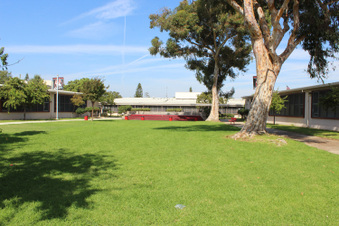 Enlarge photo 6