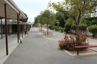 Enlarge photo 7