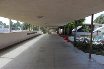 Enlarge photo 92