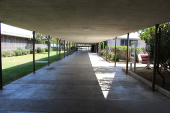 Enlarge photo 98
