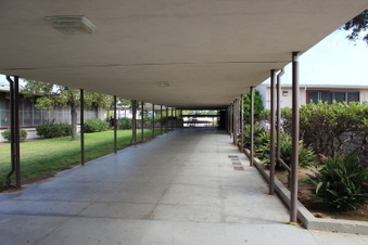 Enlarge photo 99