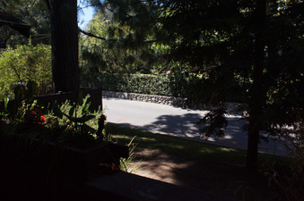 Enlarge photo 93