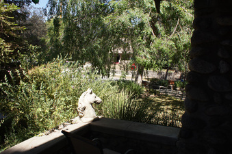 Enlarge photo 94