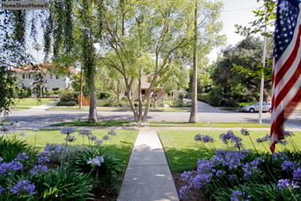 Enlarge photo 42