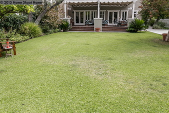 Enlarge photo 45