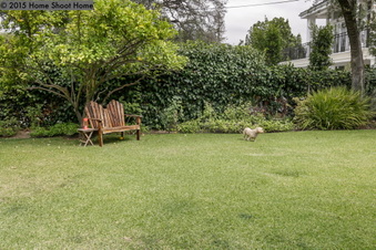 Enlarge photo 47