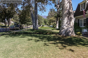Enlarge photo 58