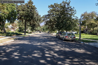Enlarge photo 63
