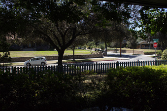 Enlarge photo 80