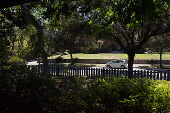 Enlarge photo 81
