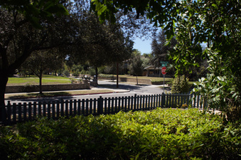 Enlarge photo 82