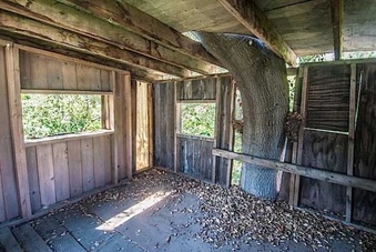 Enlarge photo 83