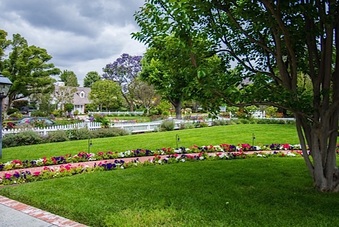 Enlarge photo 17