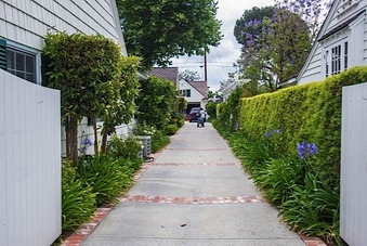 Enlarge photo 122