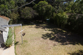 Enlarge photo 51