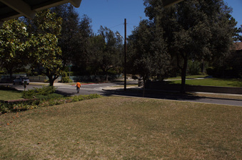 Enlarge photo 91