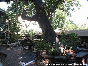 Enlarge photo 12