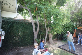 Enlarge photo 28