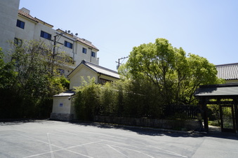 Enlarge photo 51