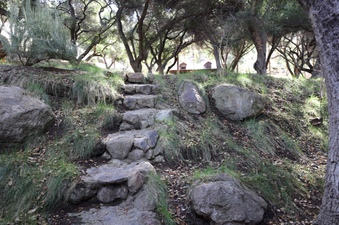 Enlarge photo 105