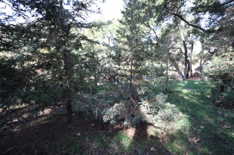 Enlarge photo 109