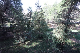 Enlarge photo 116