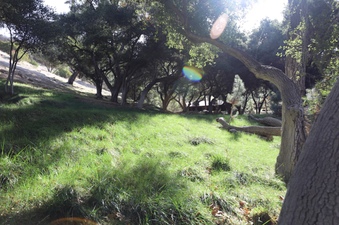 Enlarge photo 119