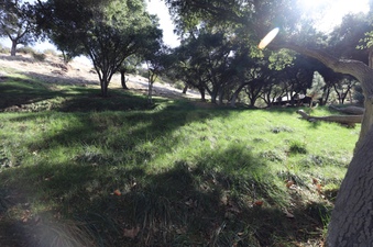 Enlarge photo 118