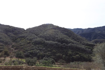 Enlarge photo 12