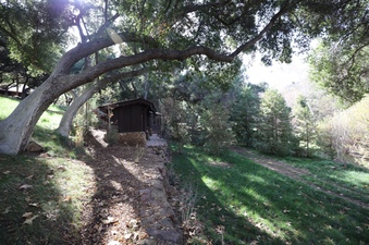 Enlarge photo 120