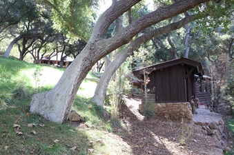 Enlarge photo 121
