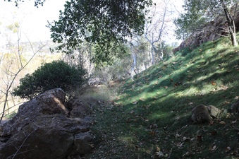 Enlarge photo 122