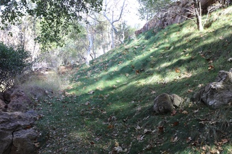 Enlarge photo 123