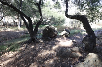 Enlarge photo 126