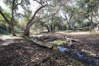 Enlarge photo 128