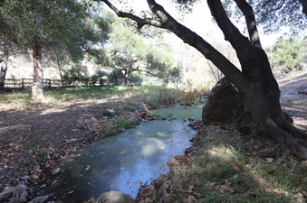 Enlarge photo 127