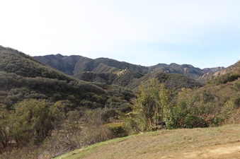 Enlarge photo 13